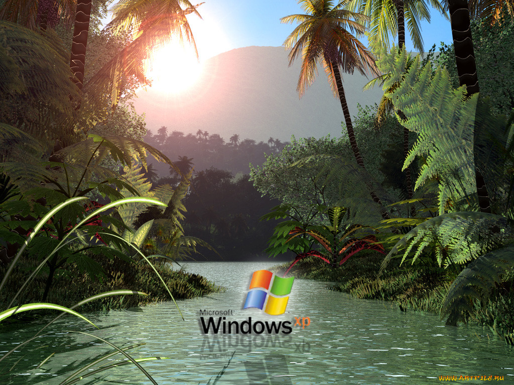 , windows, xp